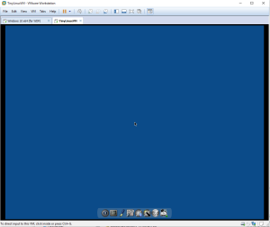 Start this Tiny Linux VM to test your VMware install